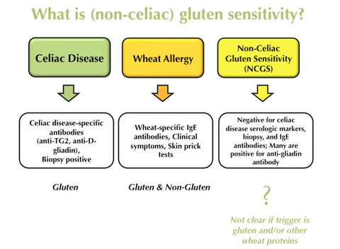 How To Diagnose Non-Celiac Gluten Sensitivity: