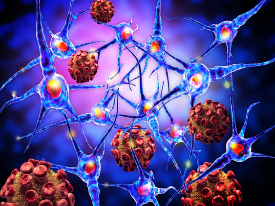 new-study-discovers-a-neuro-immune-connection