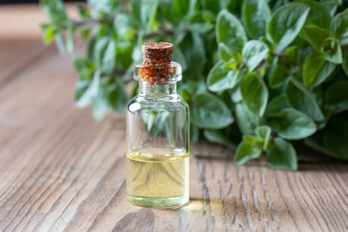 Oil of Oregano — More Evidence for Effective Pest Control