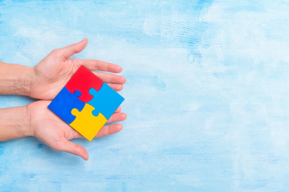 B6 and Autism What Do We Know?